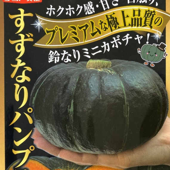 うどんこ病抵抗性品種かぼちゃ　10粒